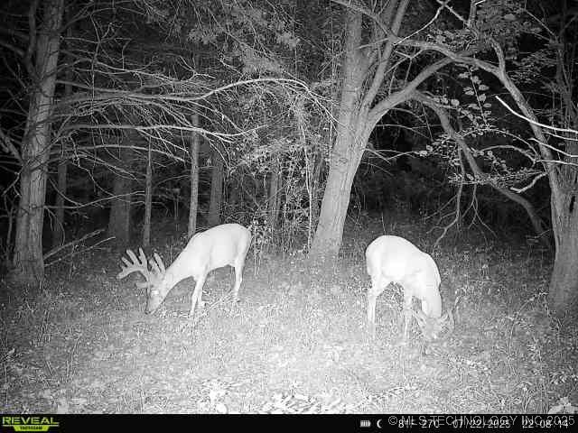 350345 5600 Road Property Photo 53