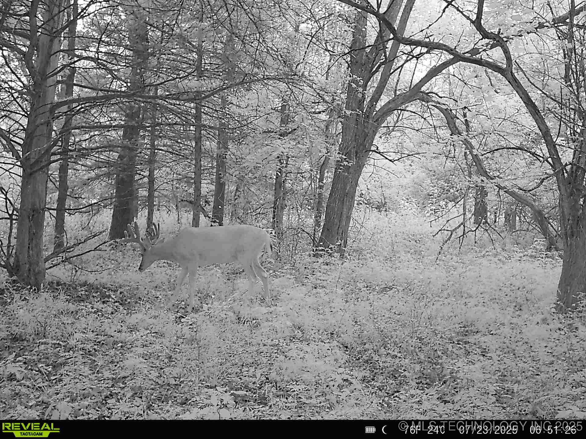 350345 5600 Road Property Photo 54