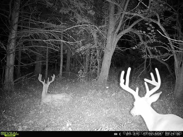 350345 5600 Road Property Photo 55