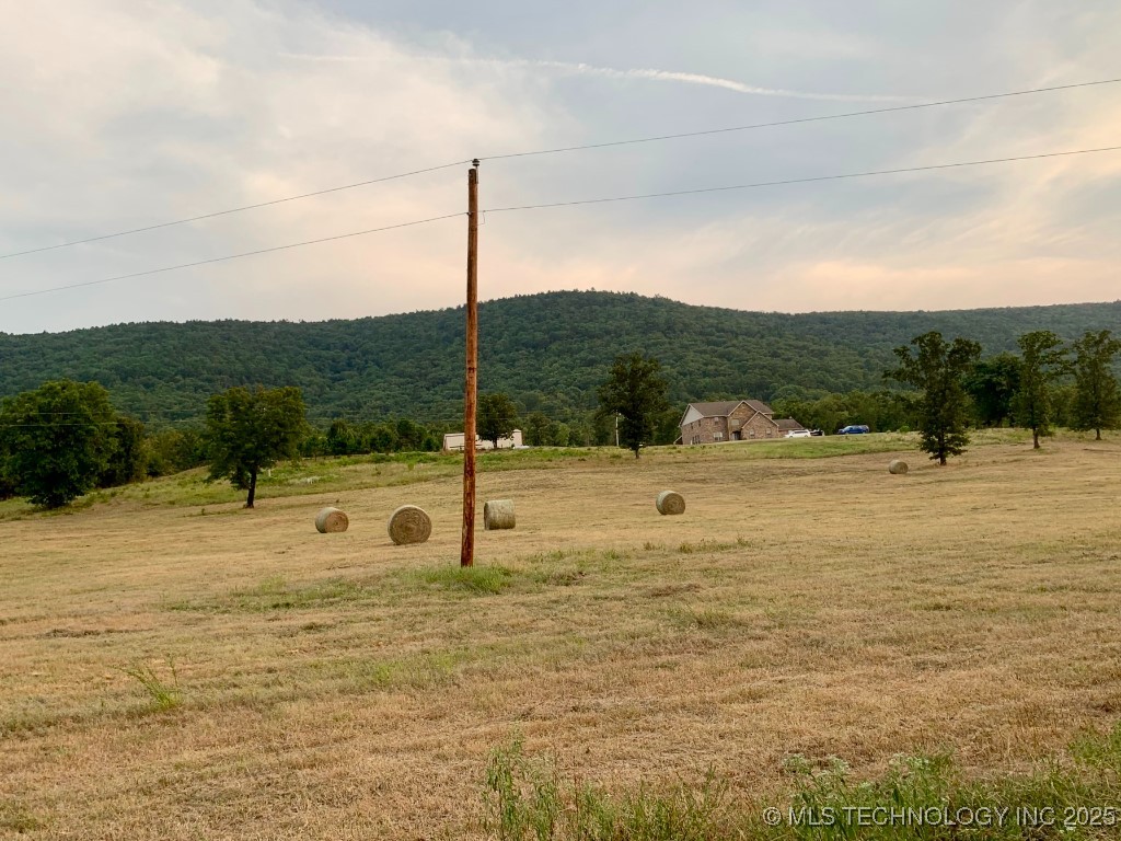 59917 350th Avenue Property Photo 56