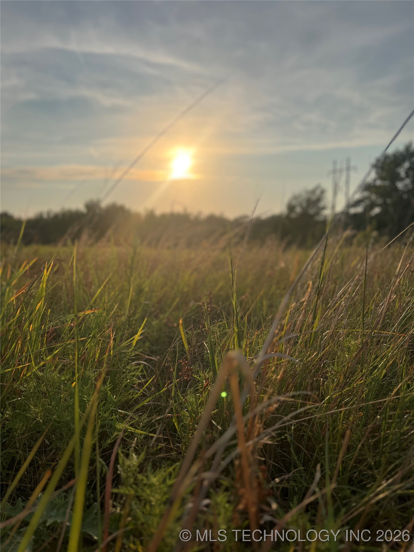 Epley Drive Property Photo 4