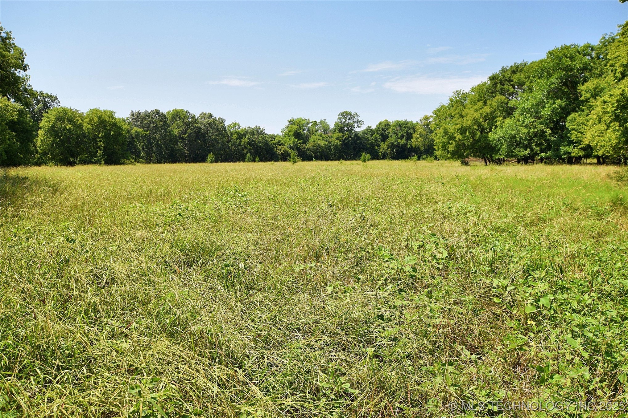 10411 Hwy 51 Property Photo 2