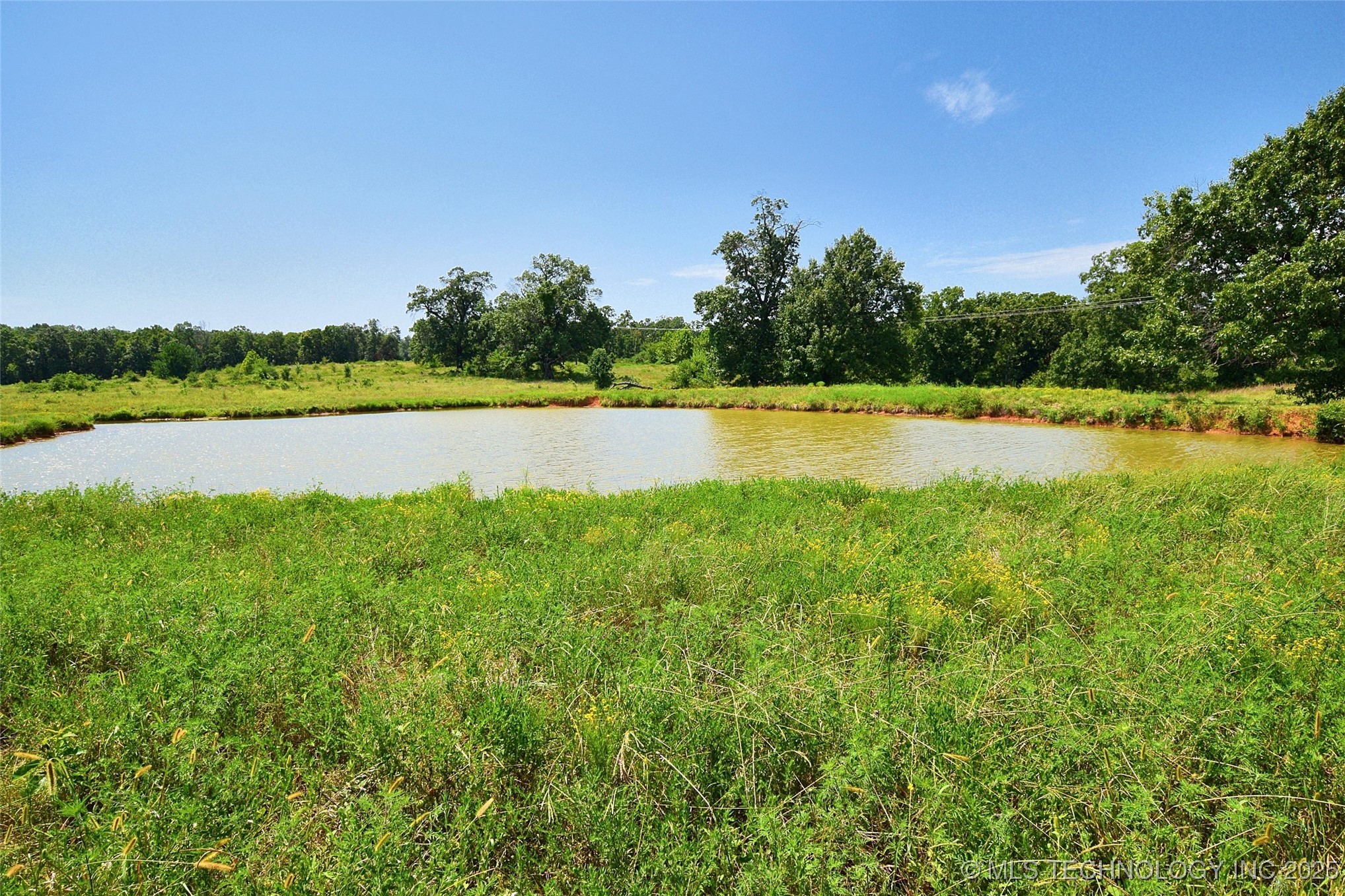 10411 Hwy 51 Property Photo 3