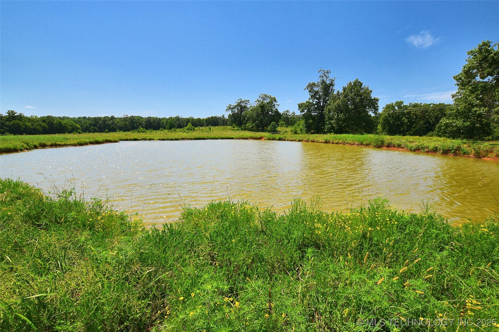 10411 Hwy 51 Property Photo 4