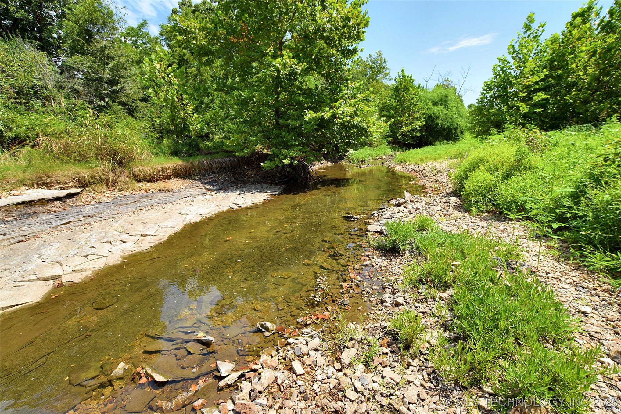 10411 Hwy 51 Property Photo 5