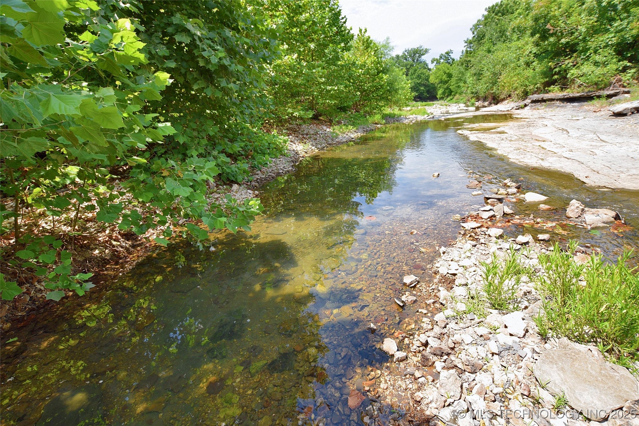 10411 Hwy 51 Property Photo 6