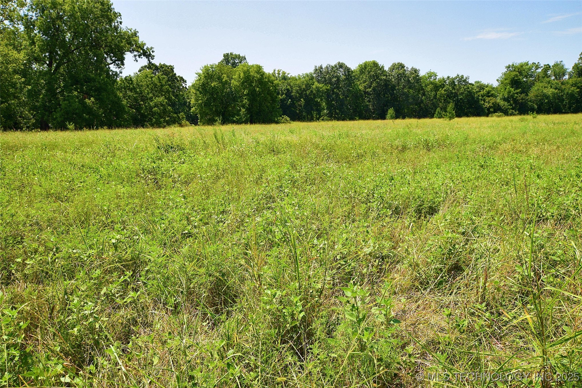 10411 Hwy 51 Property Photo 7