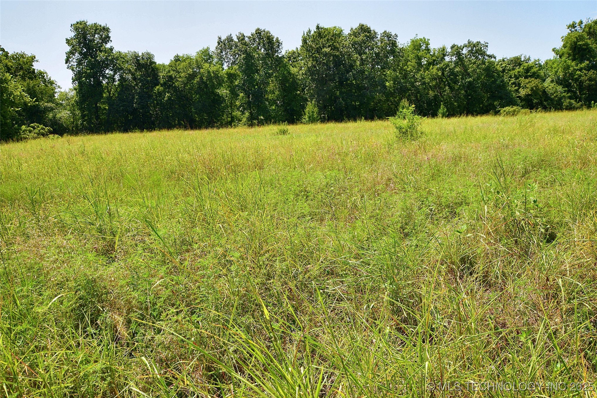 10411 Hwy 51 Property Photo 8