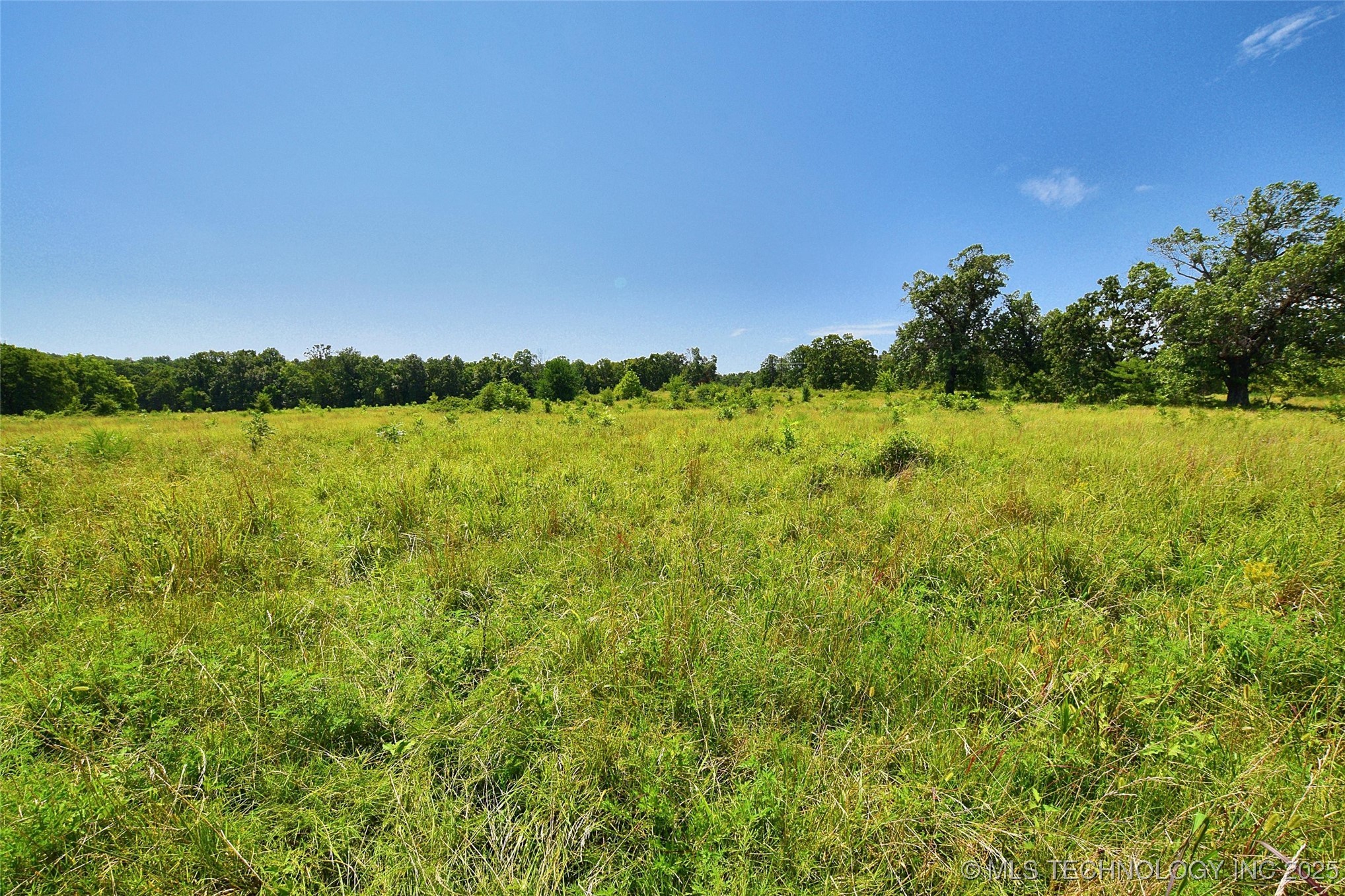 10411 Hwy 51 Property Photo 9