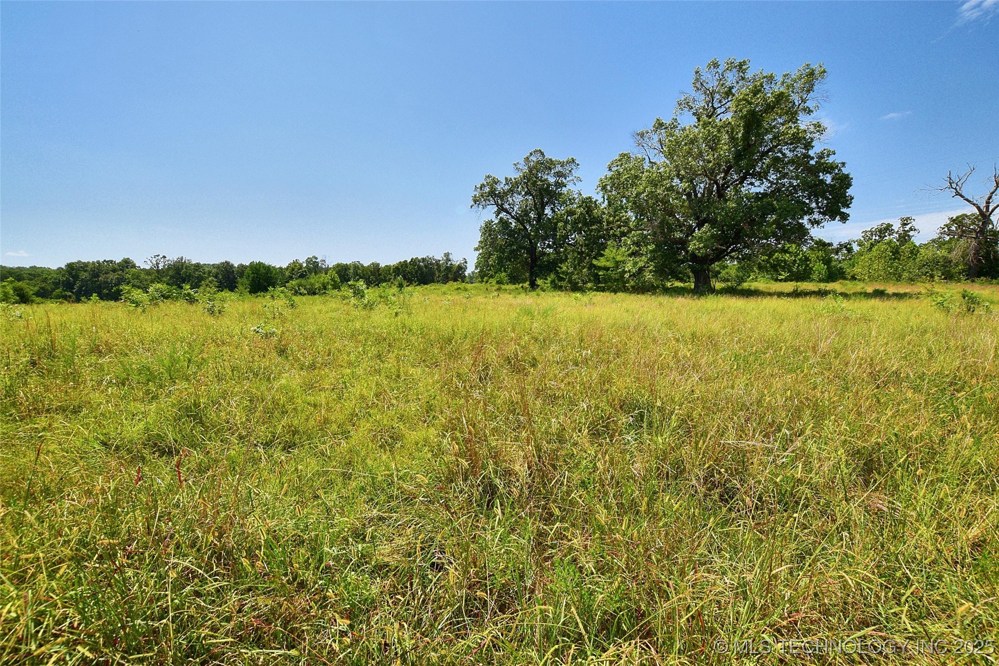 10411 Hwy 51 Property Photo 10