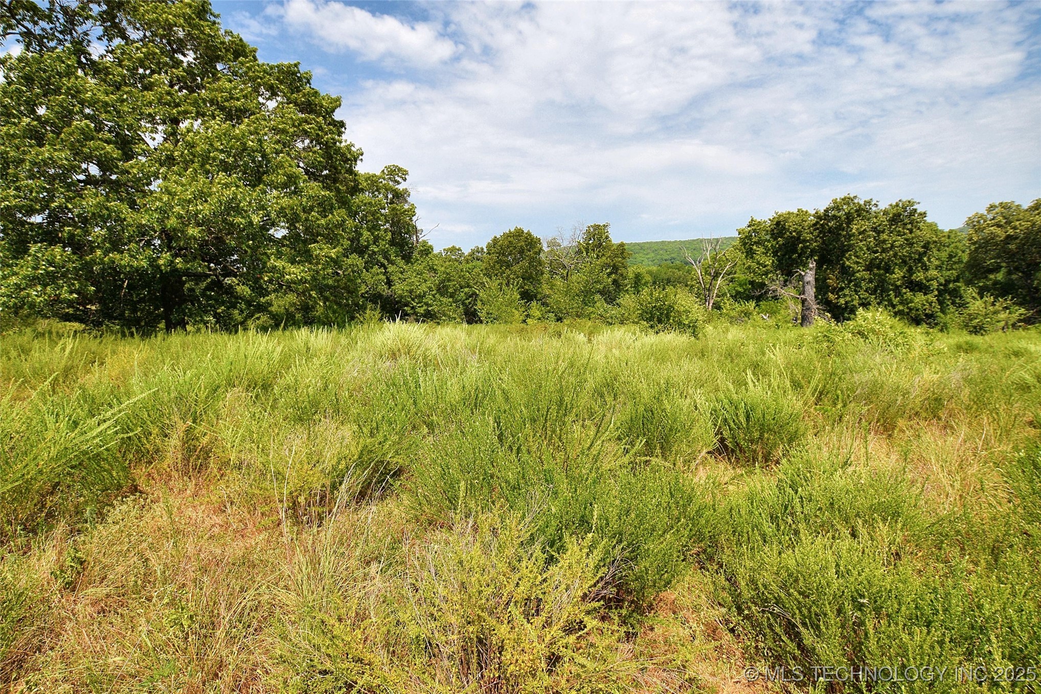10411 Hwy 51 Property Photo 11