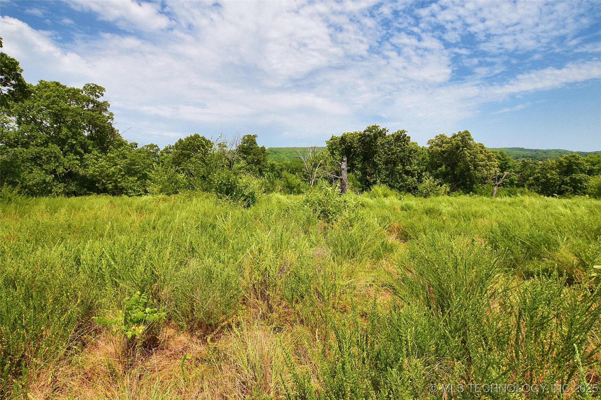10411 Hwy 51 Property Photo 12
