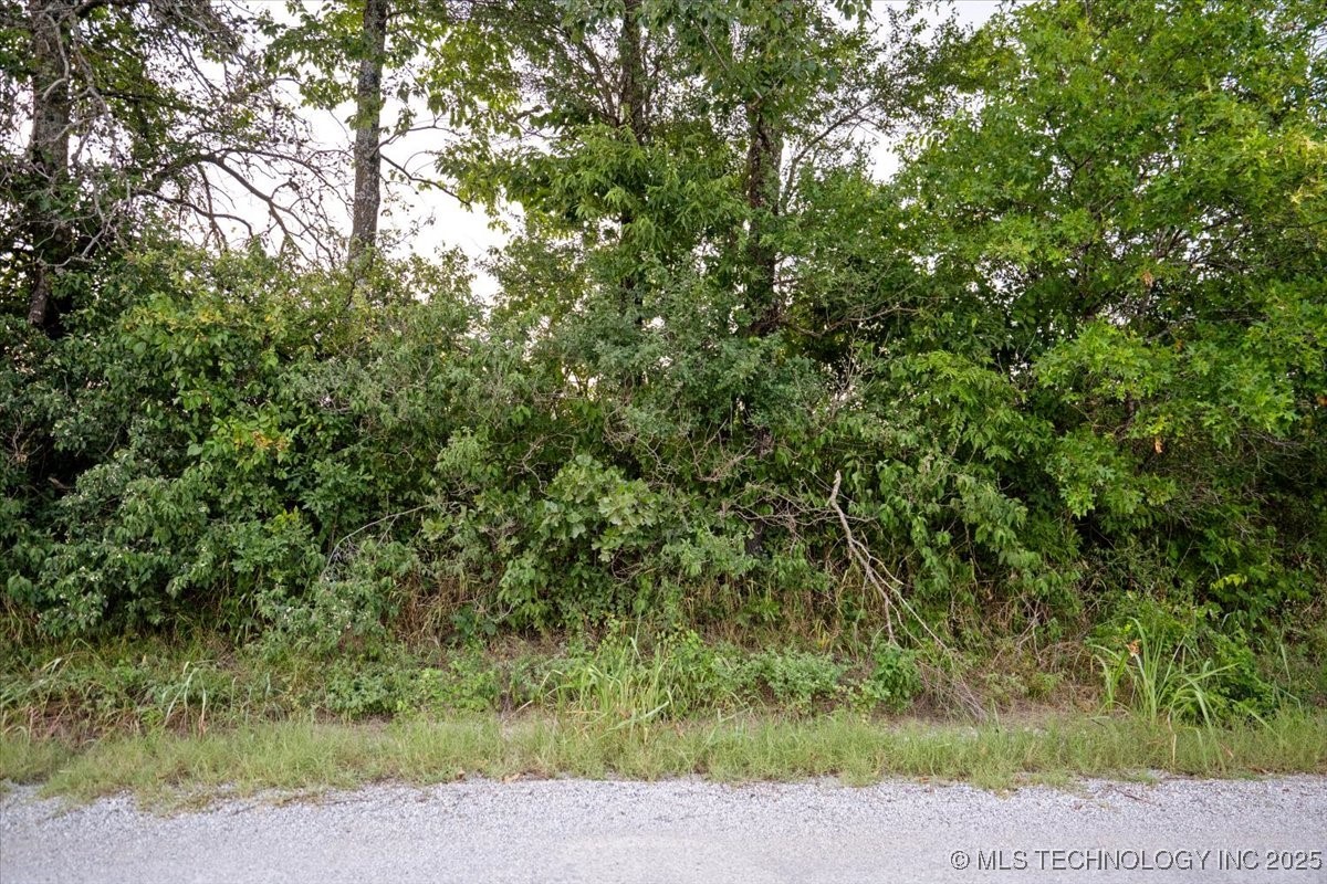 03 E 41st Street S Property Photo 21