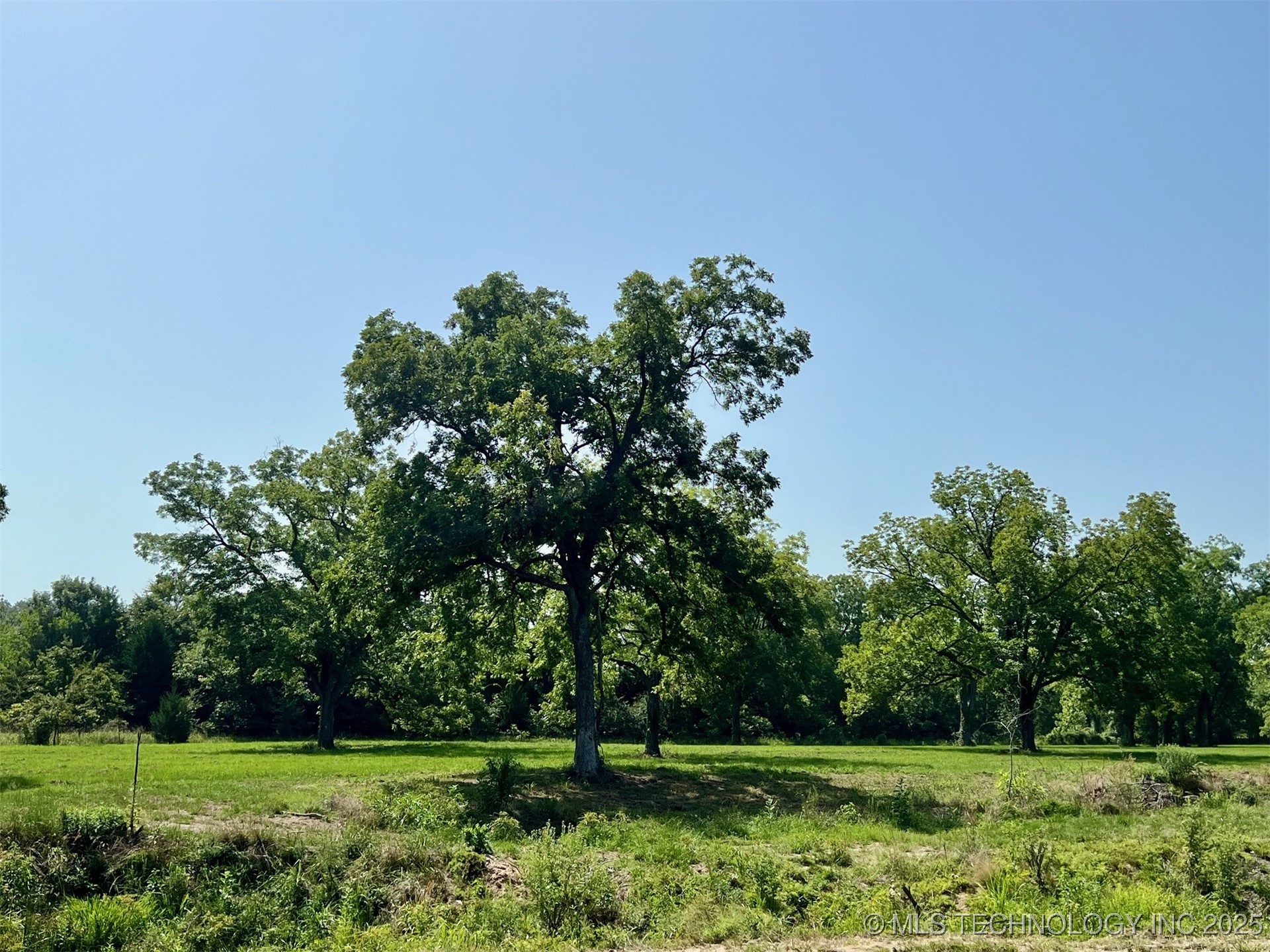 Boggy Depot Road W Property Photo 4