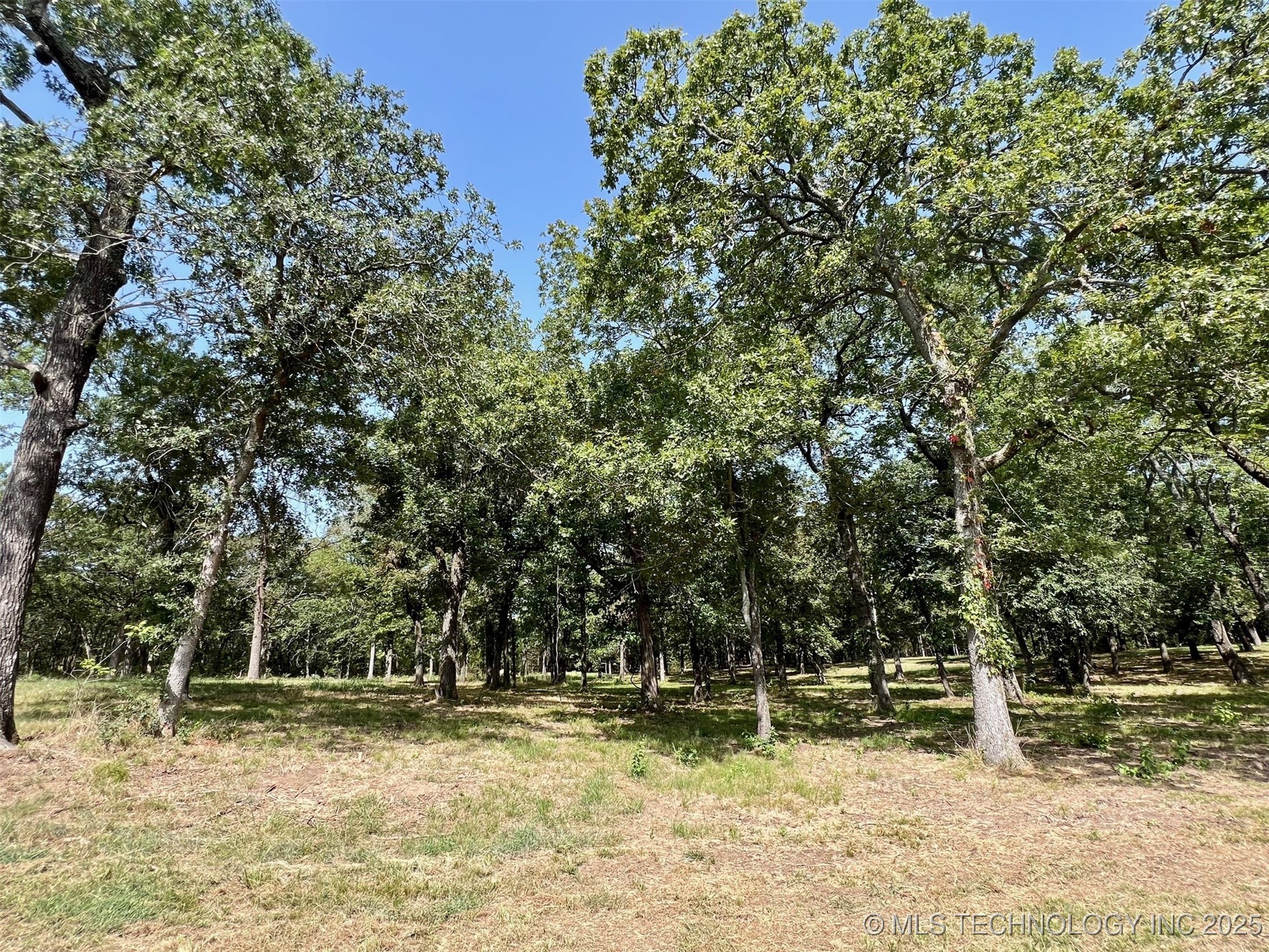 Boggy Depot Road W Property Photo 9