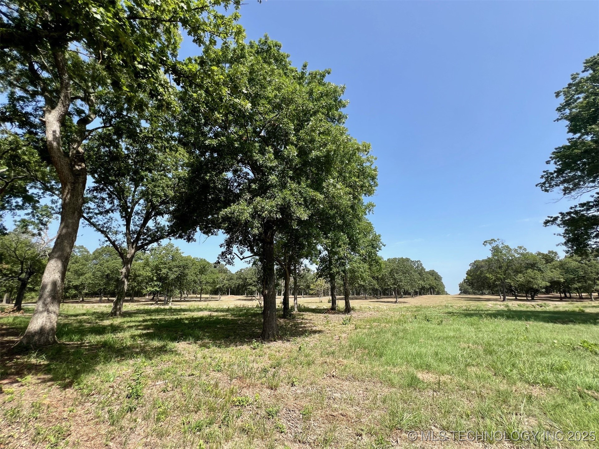 Boggy Depot Road W Property Photo 19