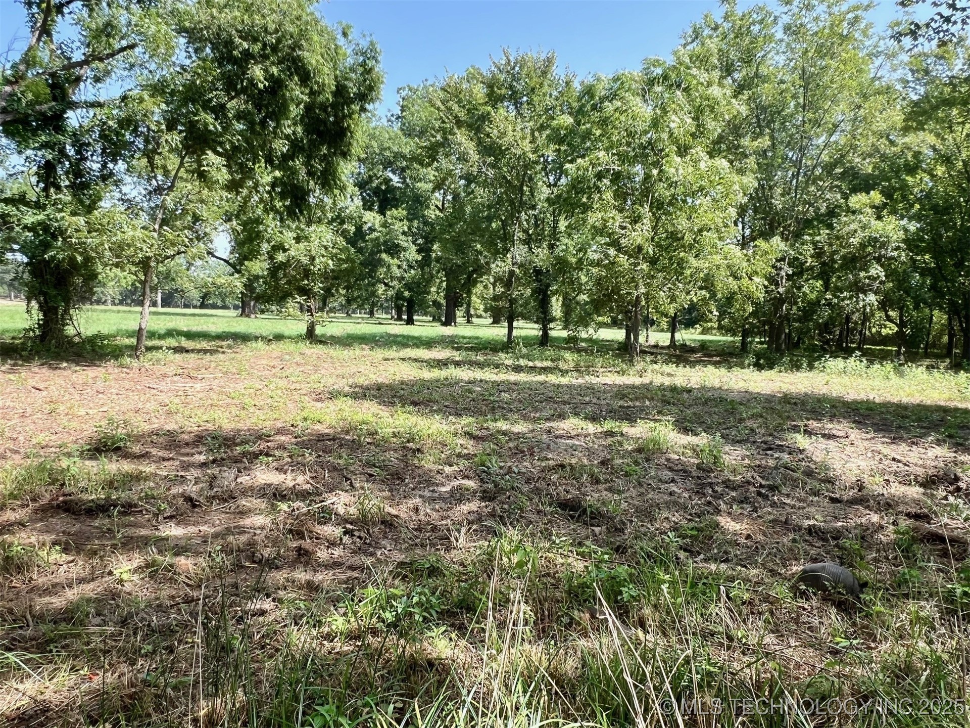 Boggy Depot Road W Property Photo 22