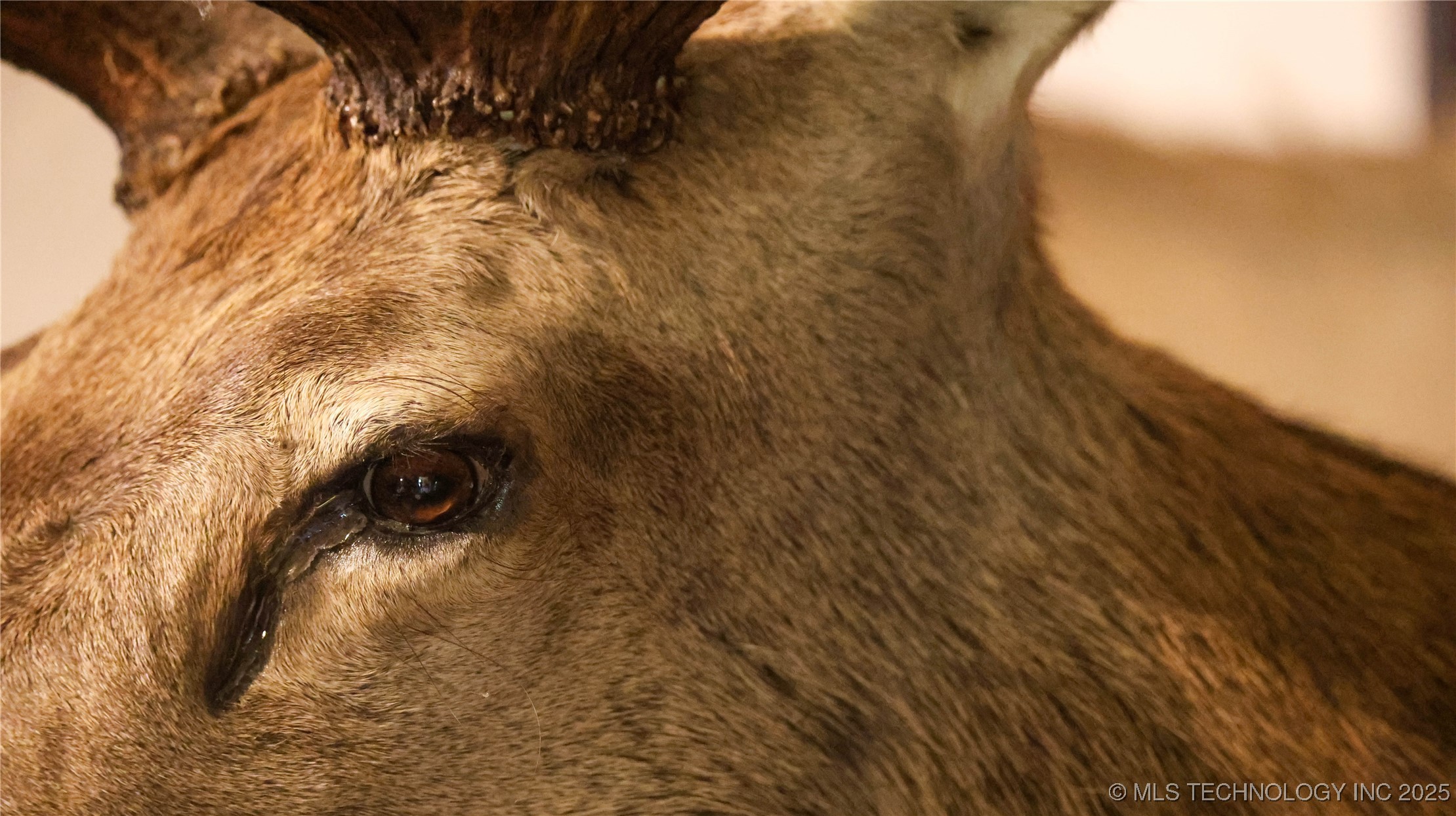 21470 County Road 1590 Property Photo 23