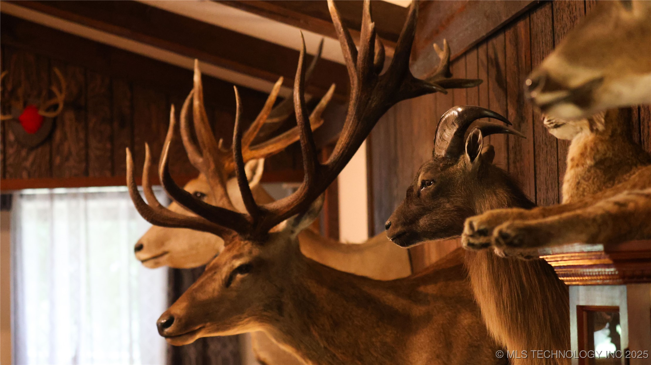 21470 County Road 1590 Property Photo 24