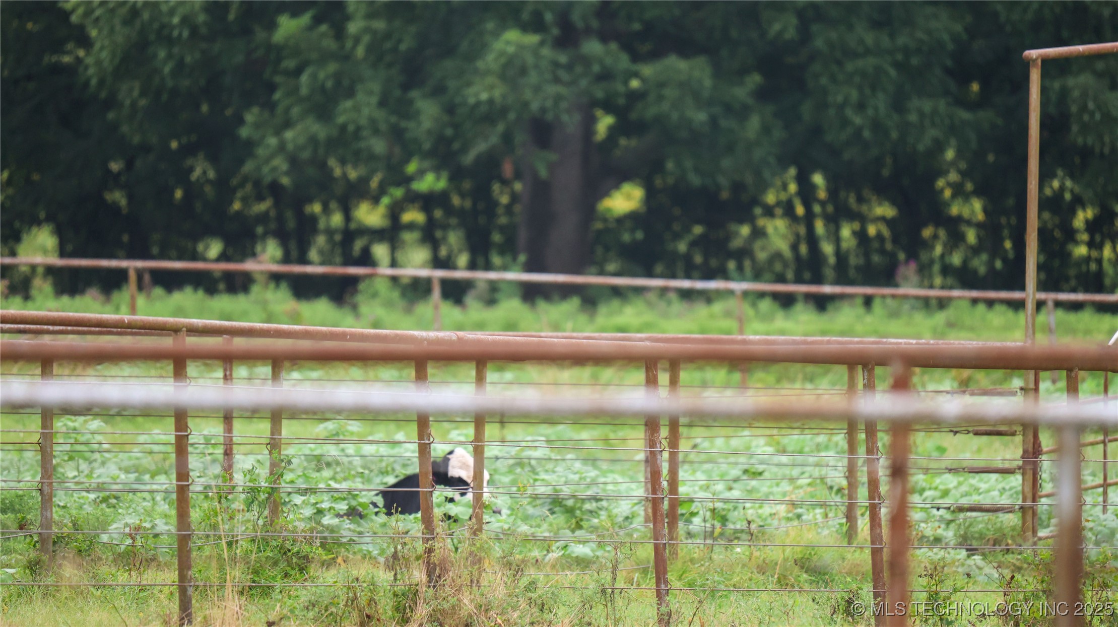 21470 County Road 1590 Property Photo 37