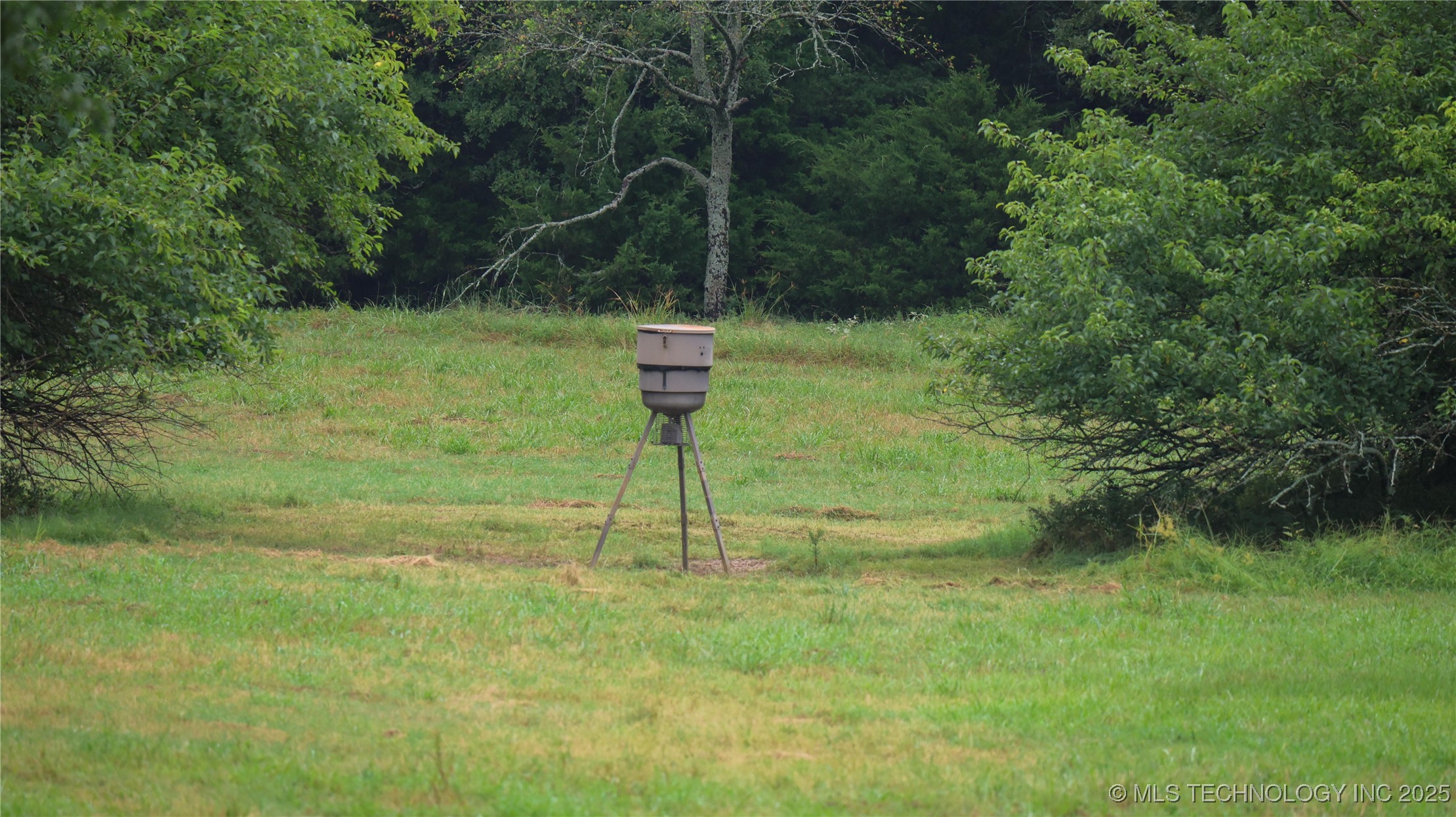 21470 County Road 1590 Property Photo 39