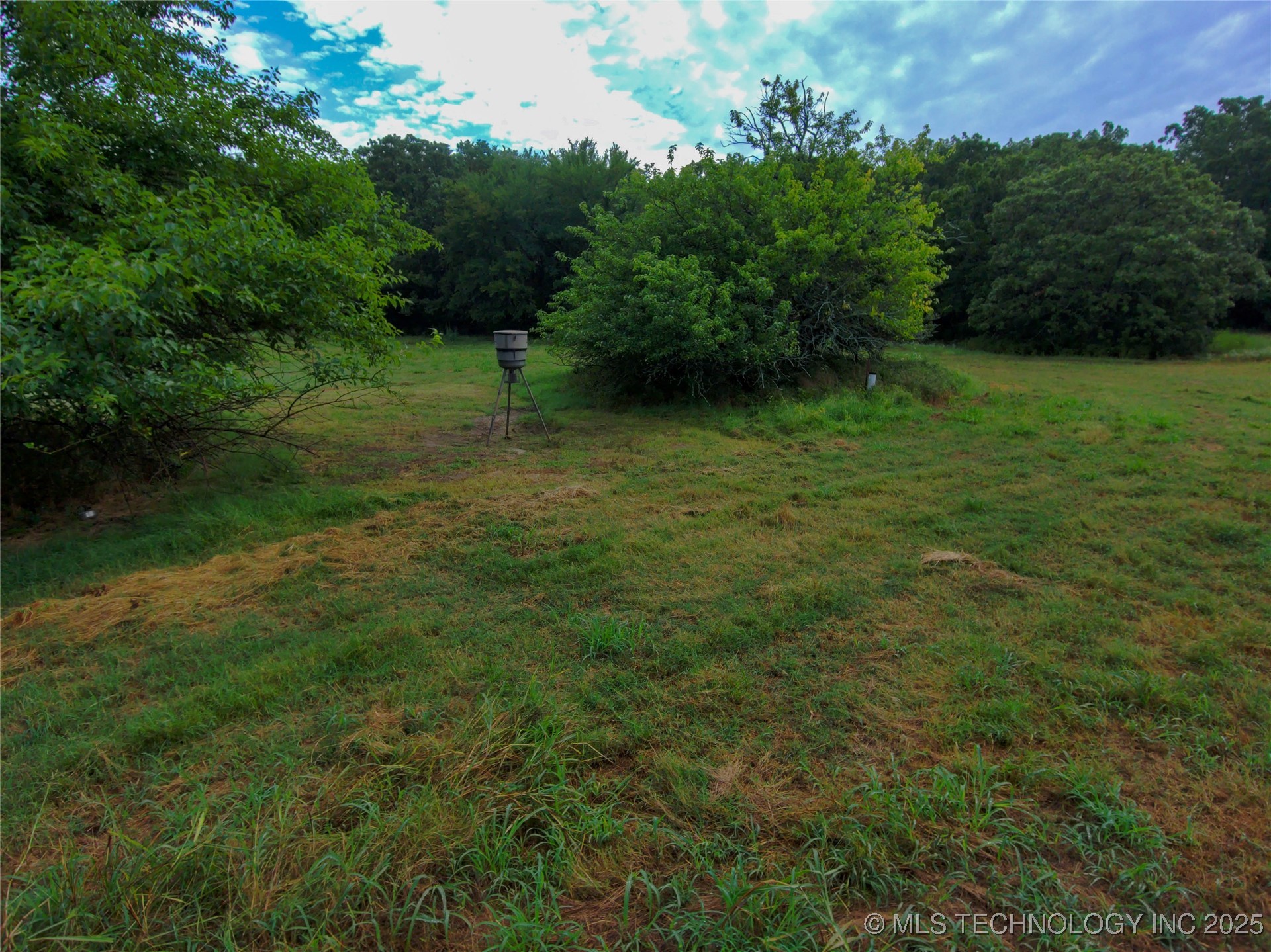 21470 County Road 1590 Property Photo 75