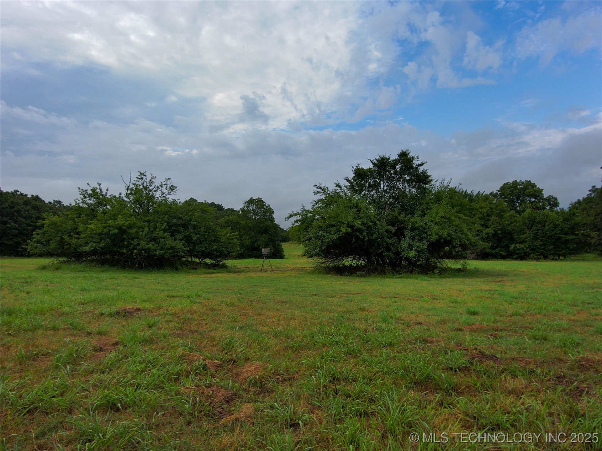 21470 County Road 1590 Property Photo 85