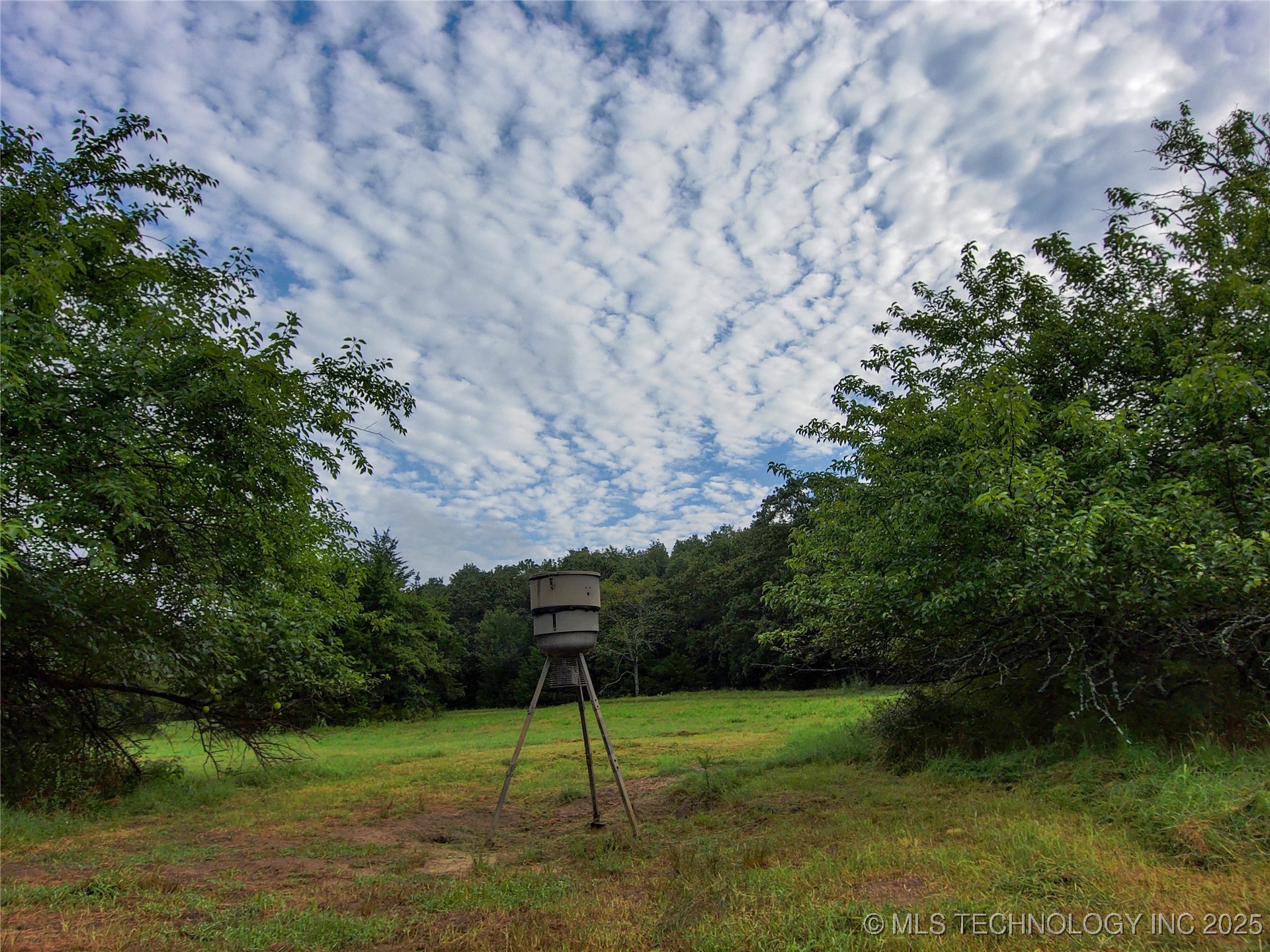 21470 County Road 1590 Property Photo 86