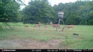 21470 County Road 1590 Property Photo 91