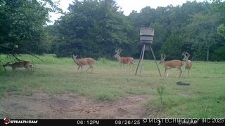 21470 County Road 1590 Property Photo 92