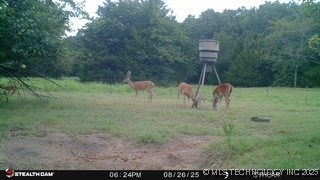 21470 County Road 1590 Property Photo 93