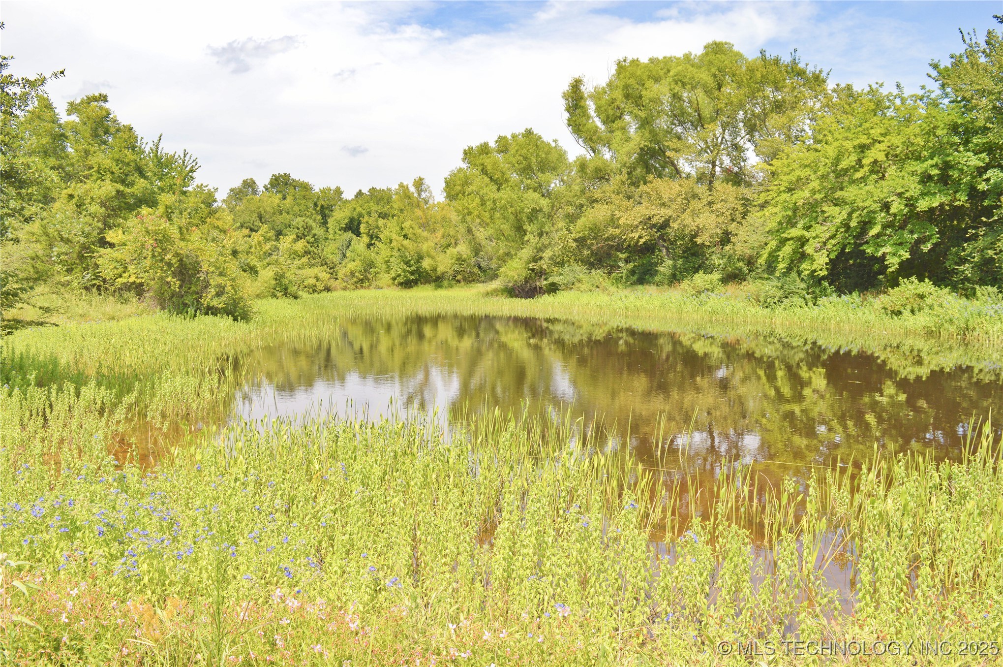 01 Nw 4th Street Property Photo 2