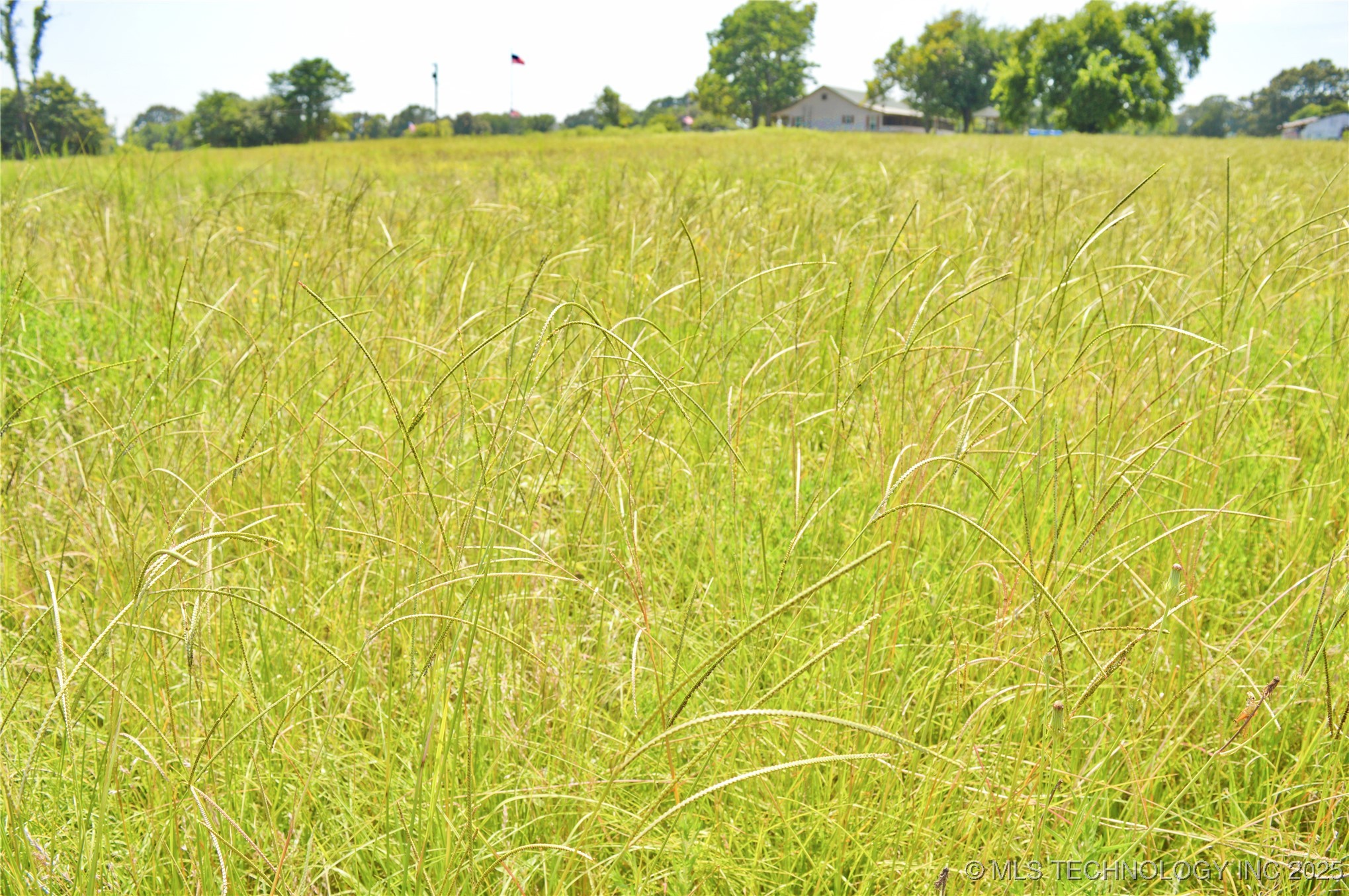 01 Nw 4th Street Property Photo 4