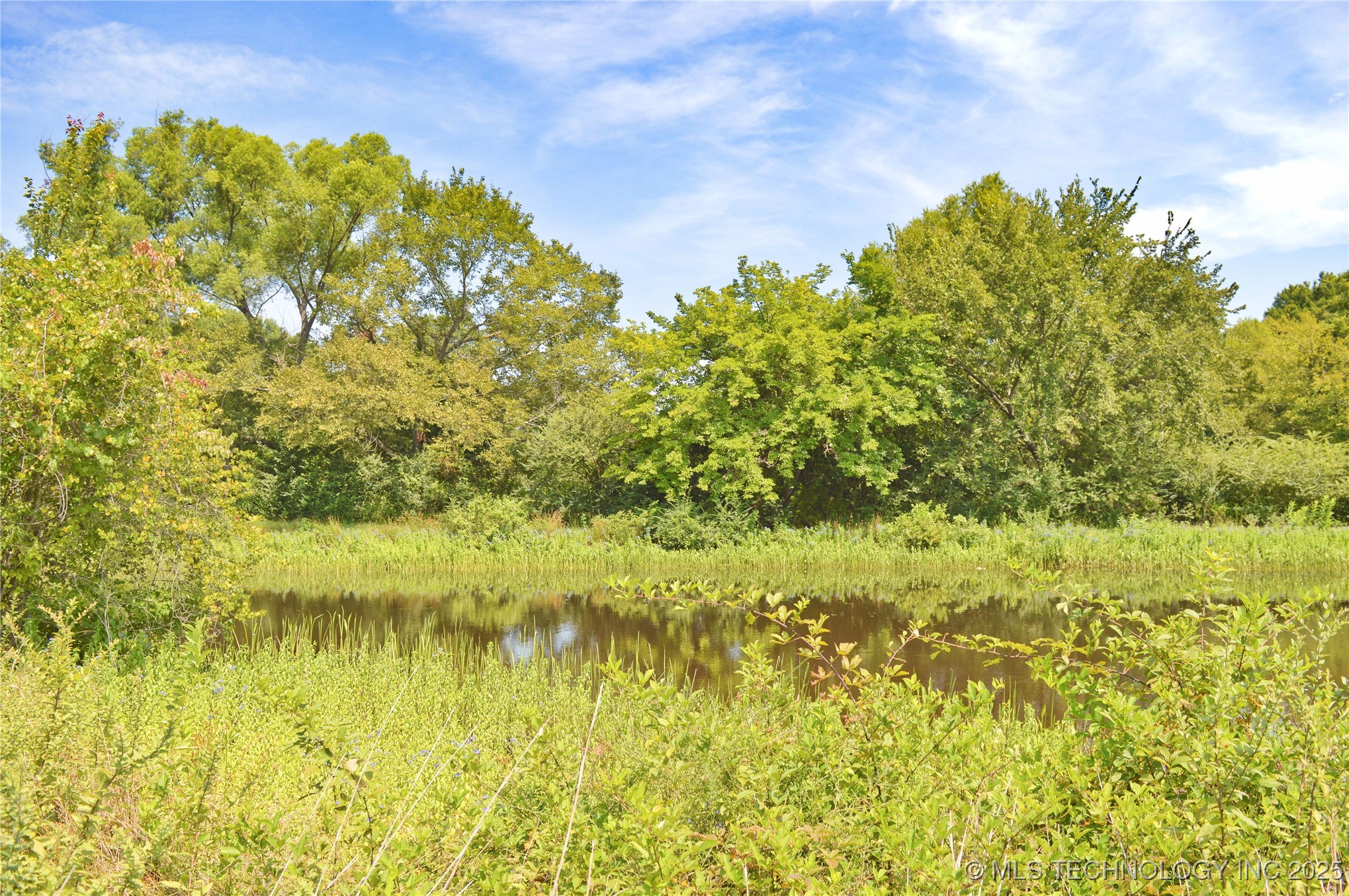 01 Nw 4th Street Property Photo 6