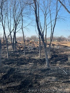 S Pine Street Property Photo 6