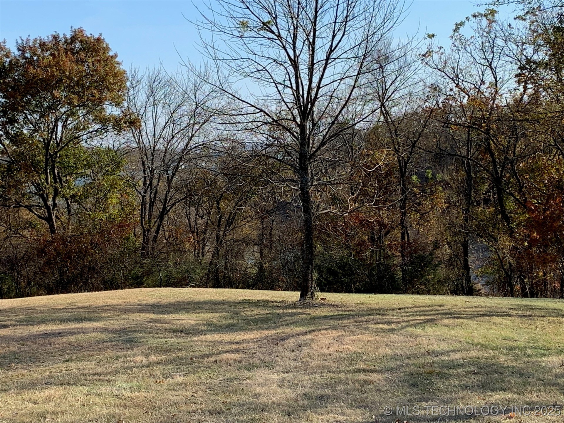 1755 Lorene Street Property Photo 6