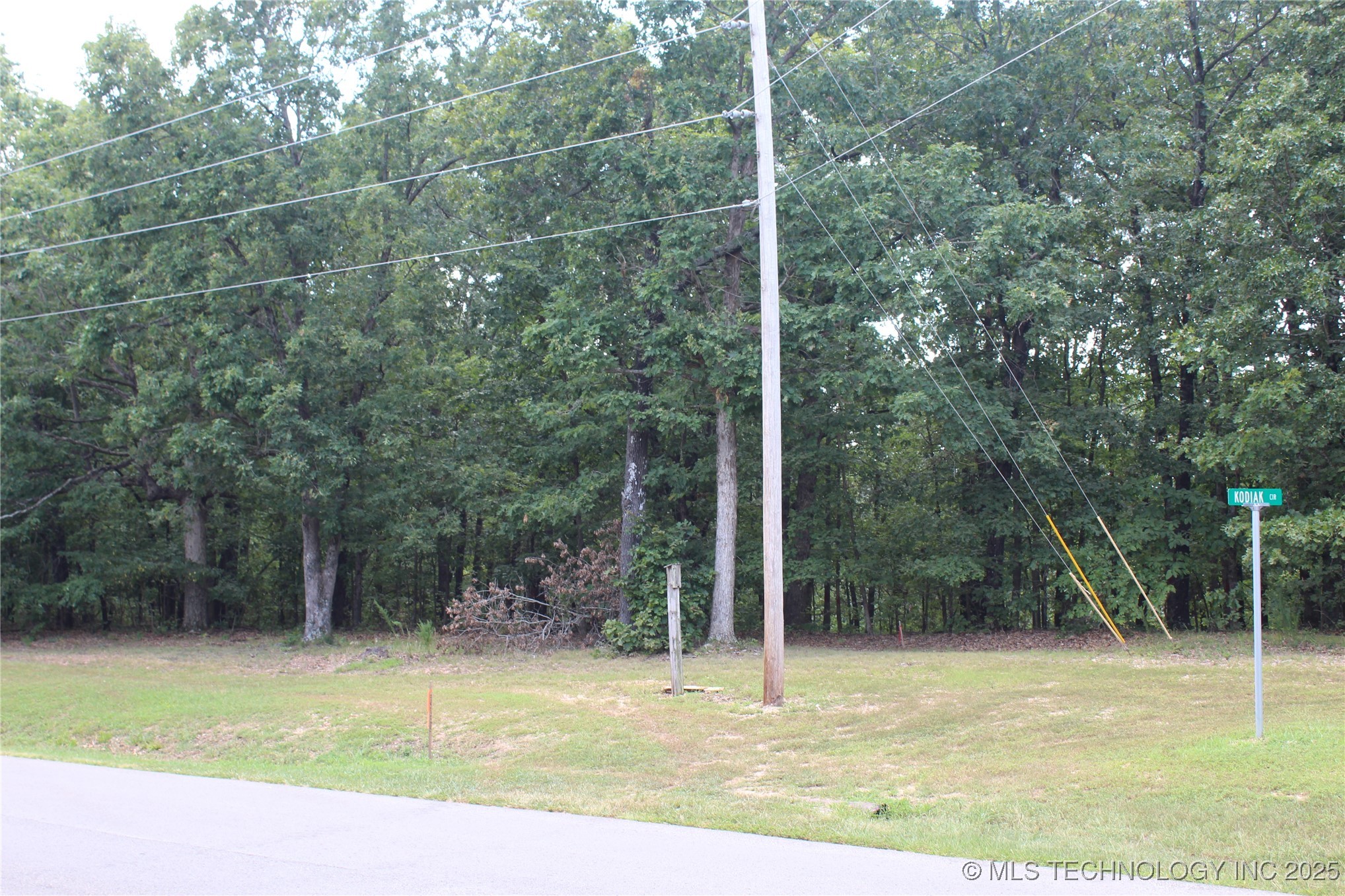 164 Crossroads Drive Property Photo 1