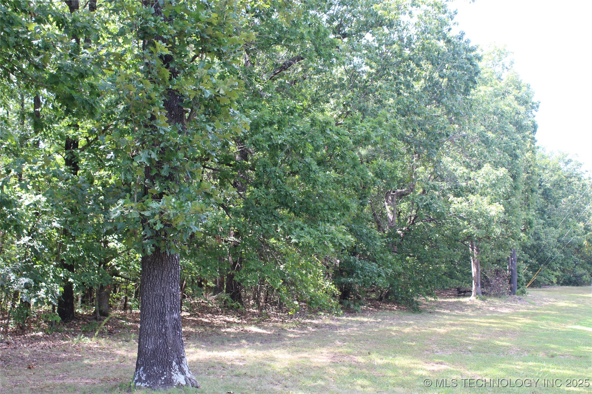 164 Crossroads Drive Property Photo 4