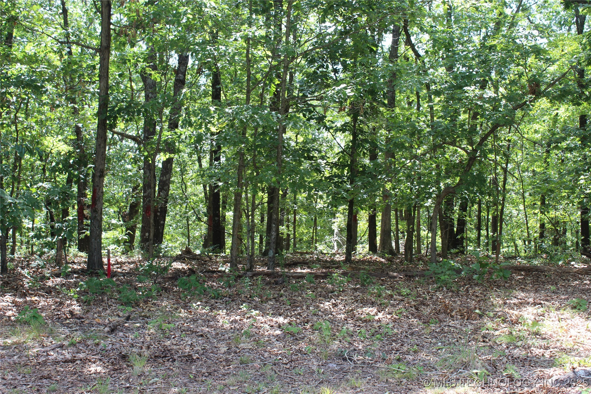 164 Crossroads Drive Property Photo 7