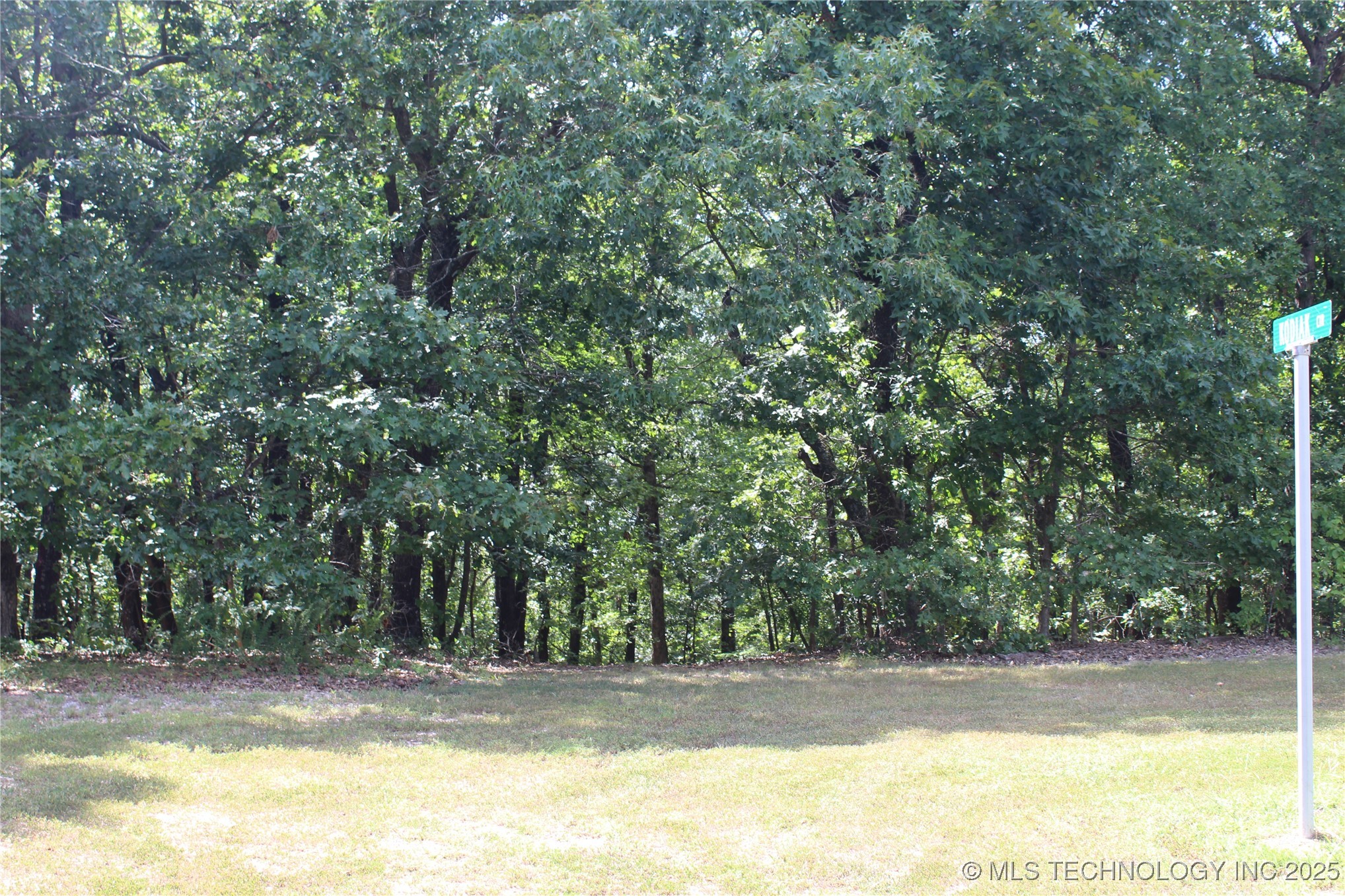 164 Crossroads Drive Property Photo 10