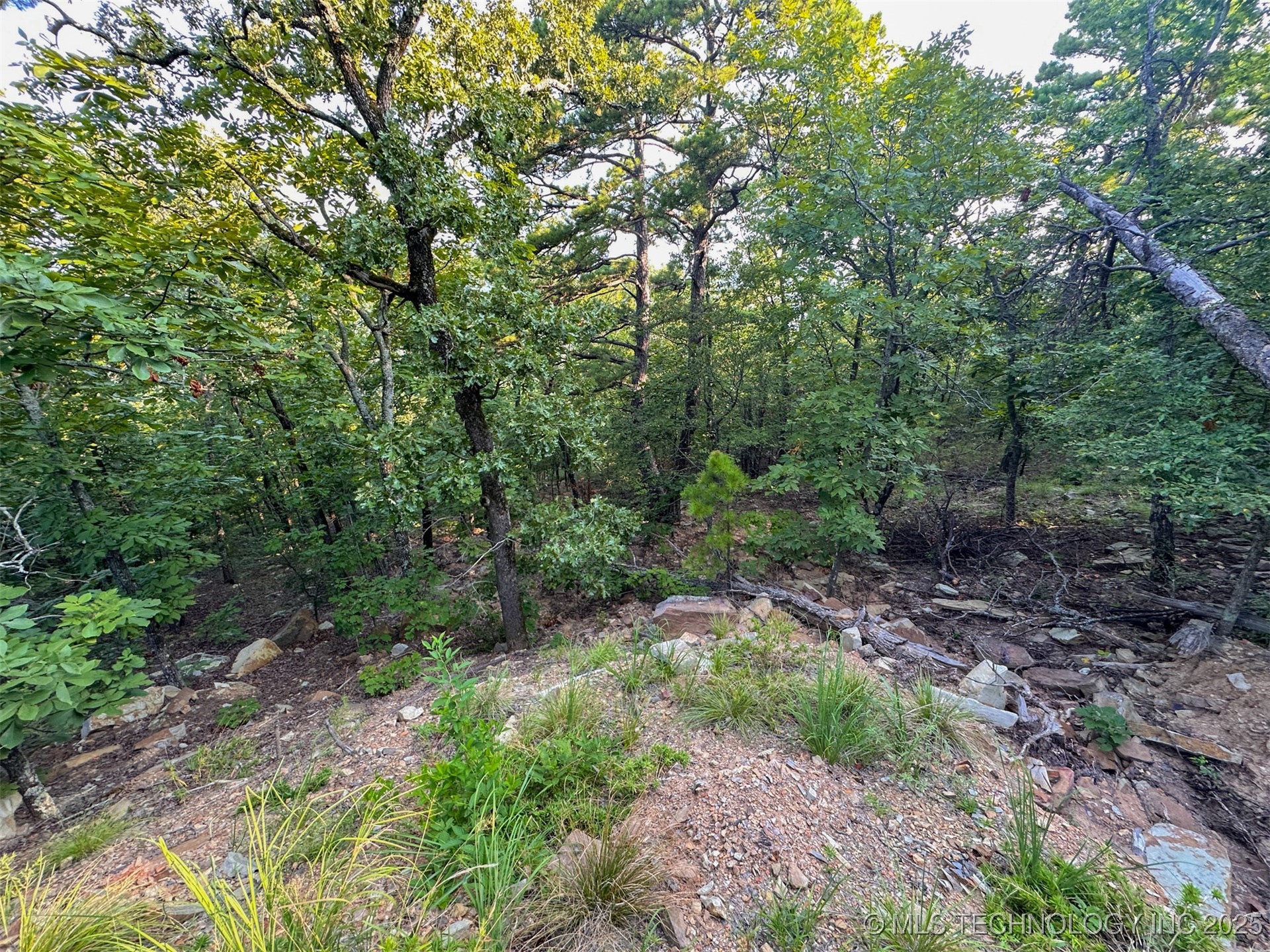 1 Moonshine Drive Property Photo 17