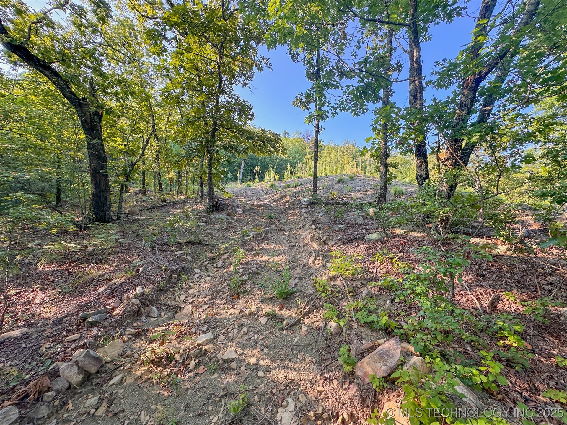 1 Moonshine Drive Property Photo 21