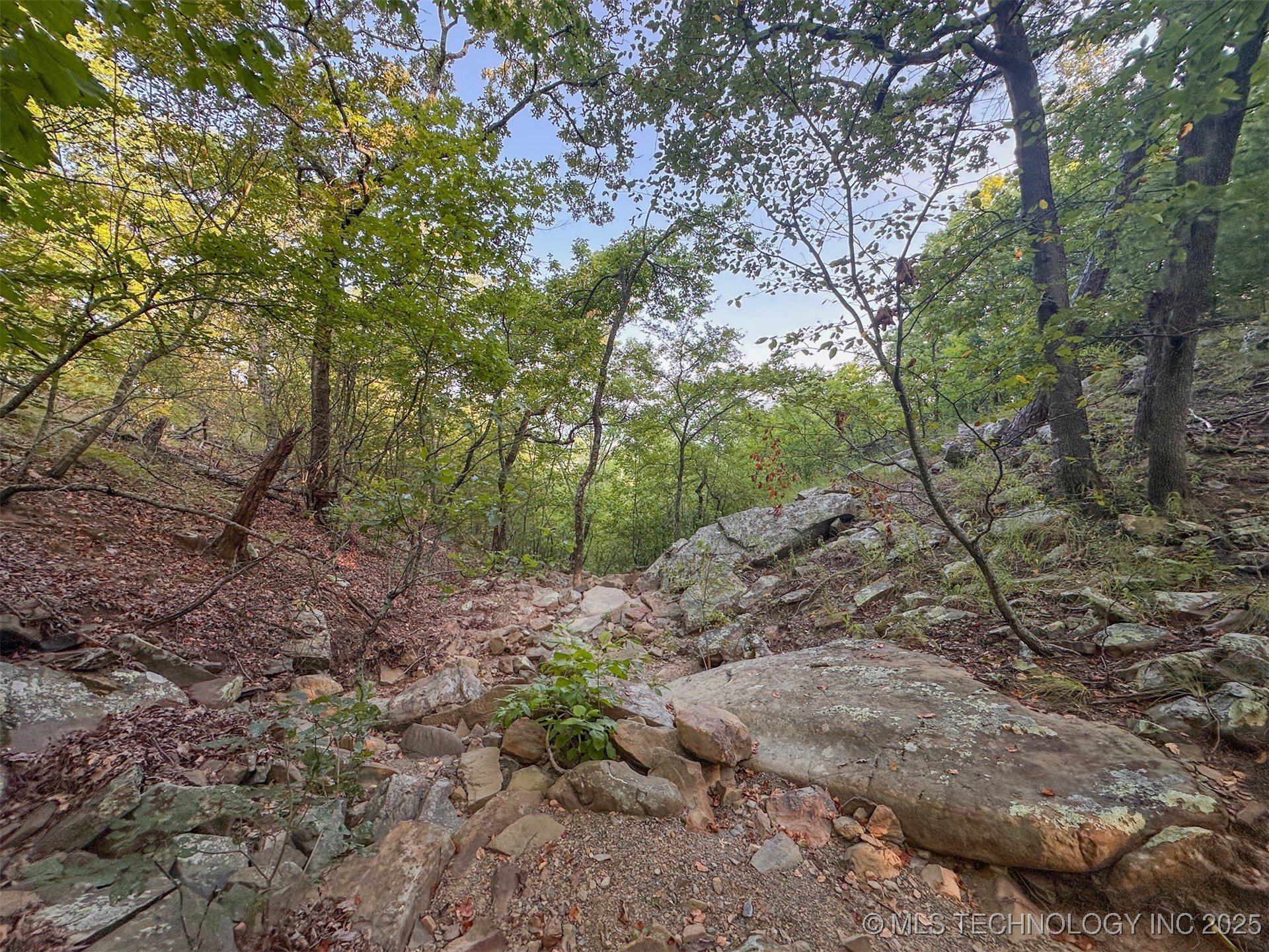 1 Moonshine Drive Property Photo 22