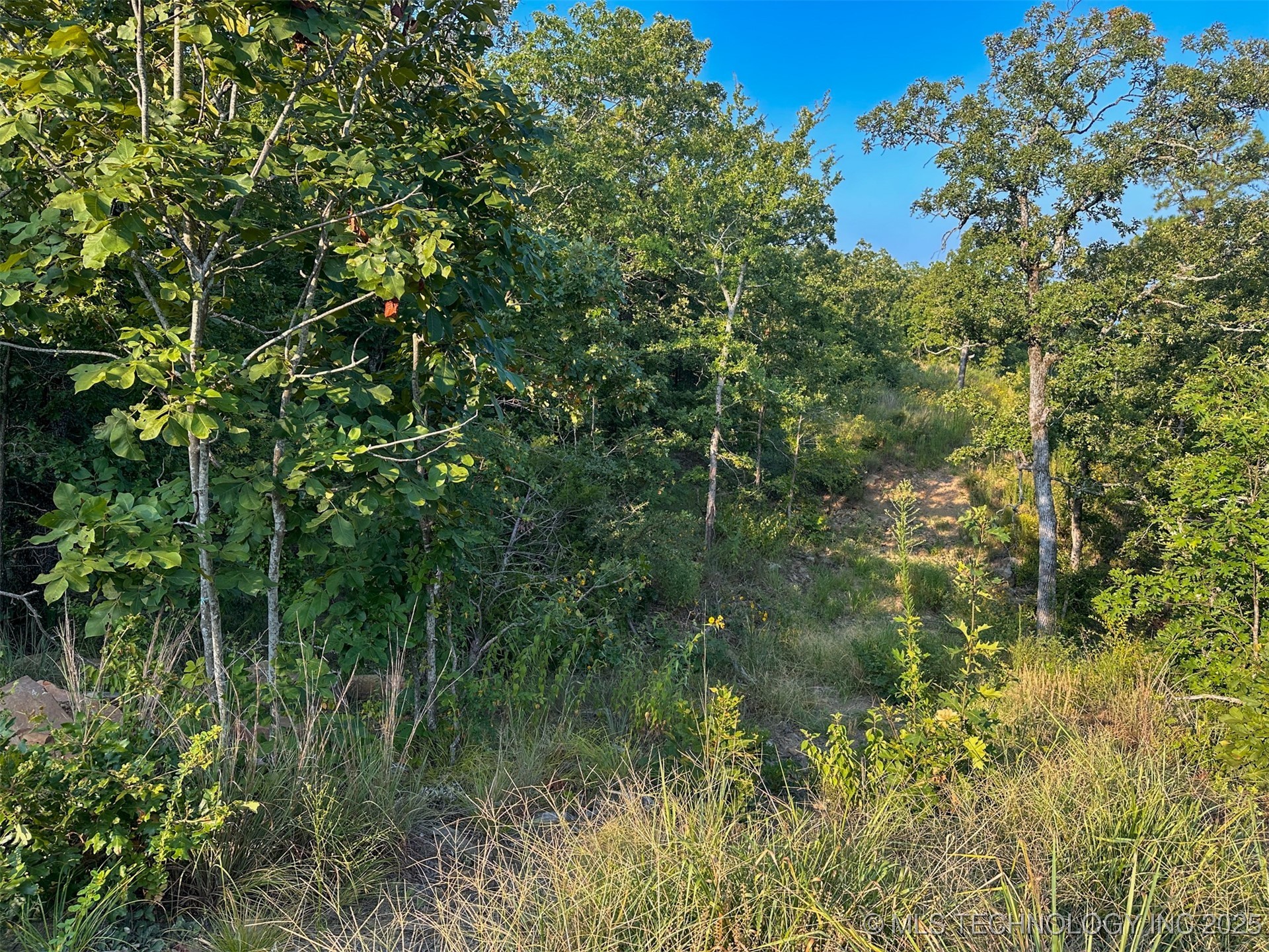 1 Moonshine Drive Property Photo 25