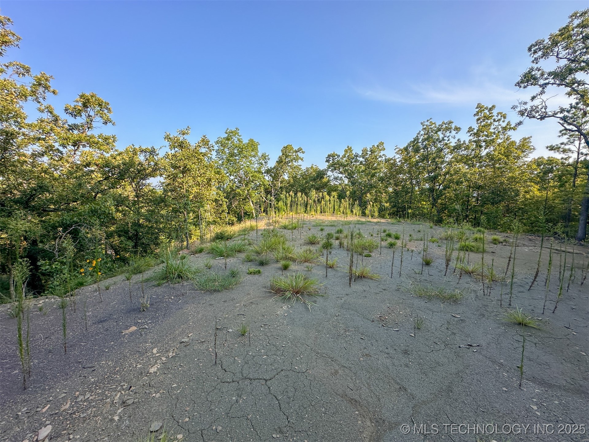 1 Moonshine Drive Property Photo 27