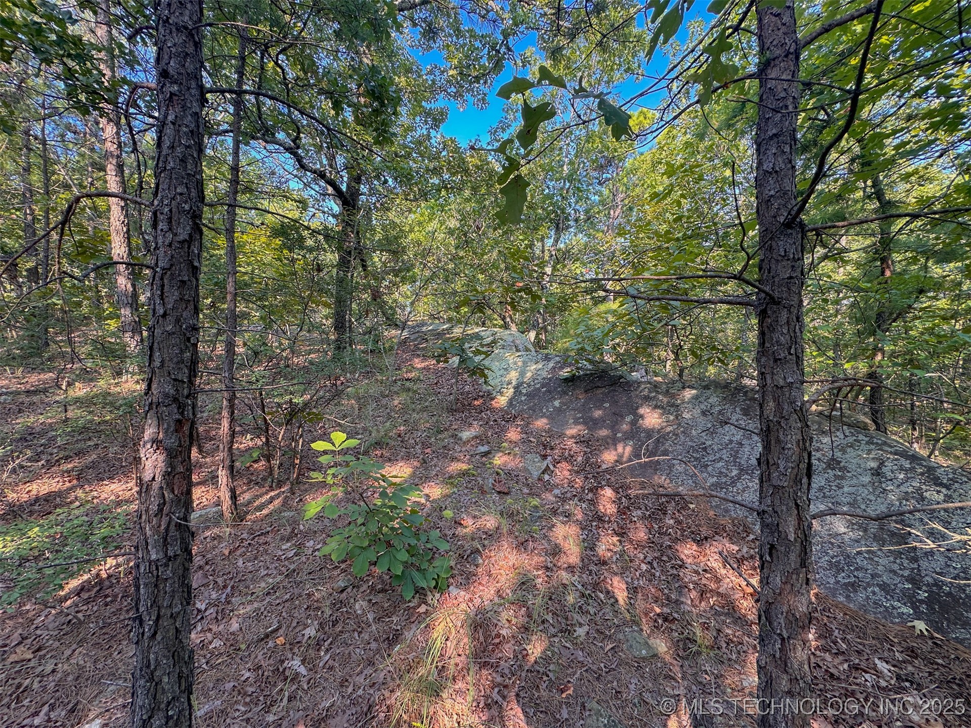 7 Moonshine Drive Property Photo 8