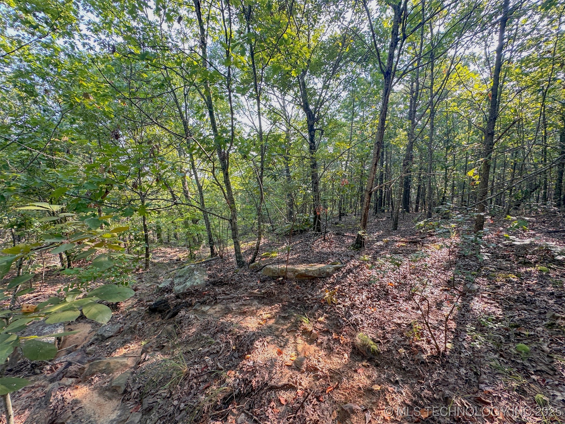 7 Moonshine Drive Property Photo 9