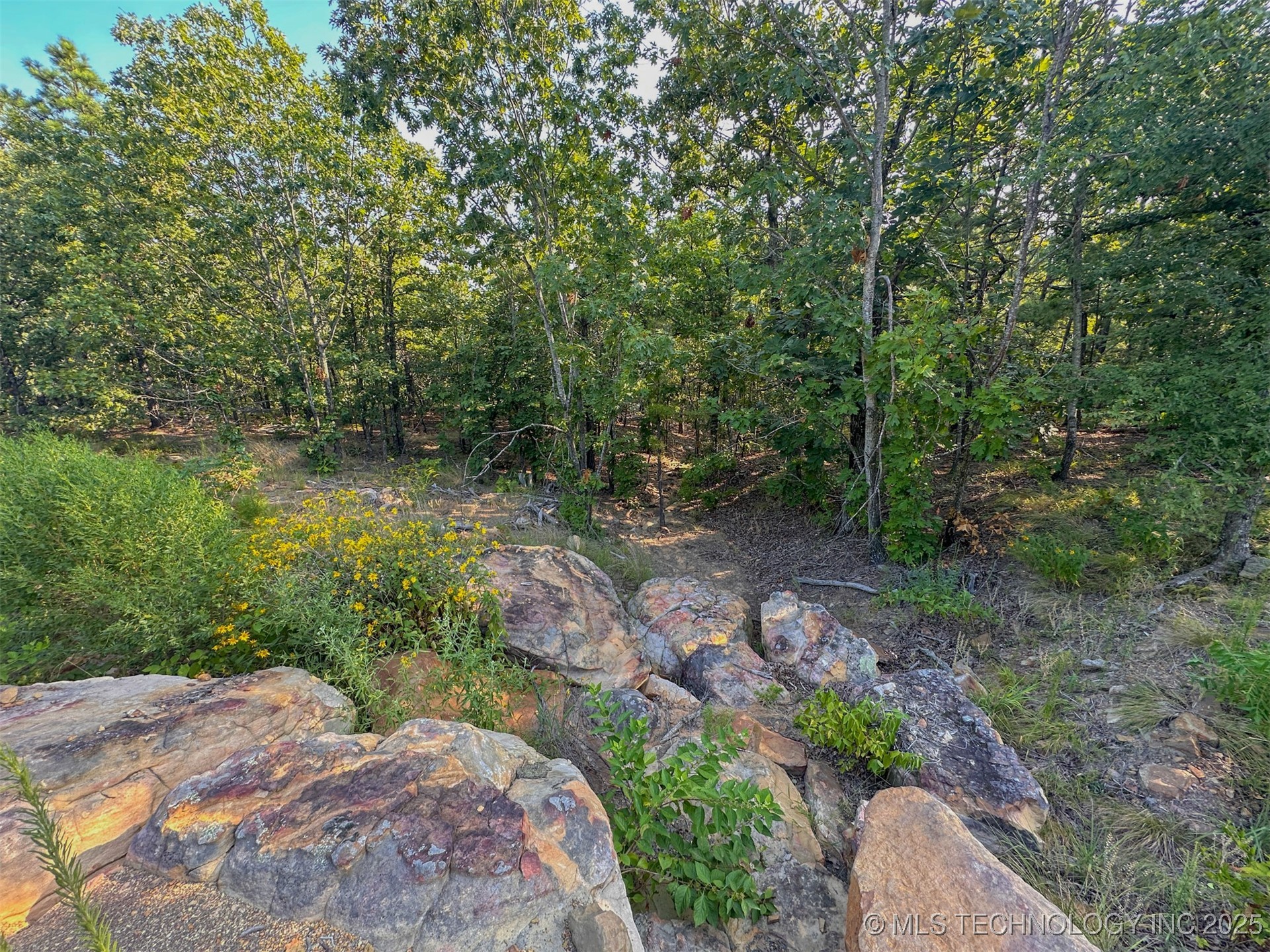 7 Moonshine Drive Property Photo 10