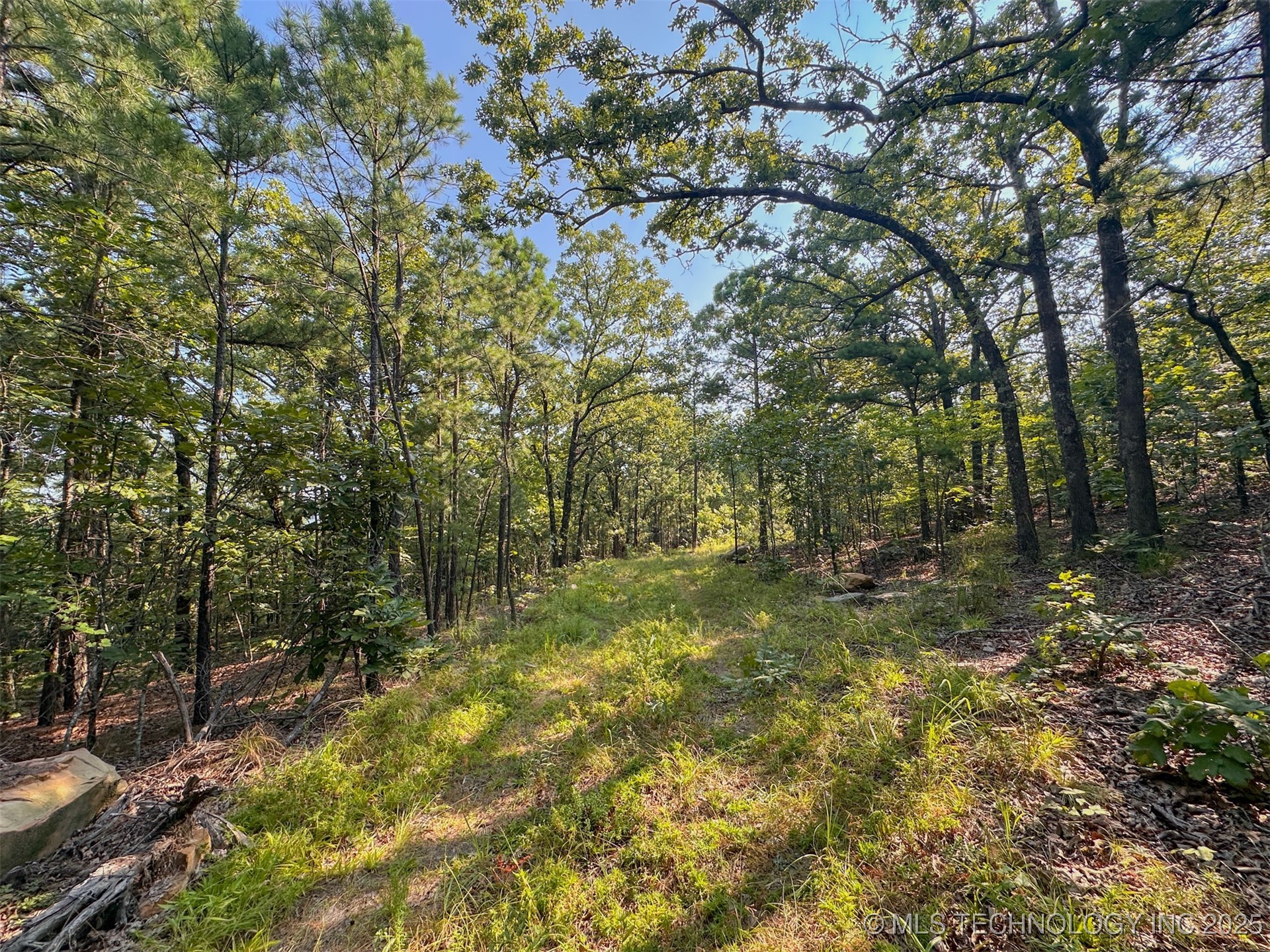 9 Moonshine Drive Property Photo 3