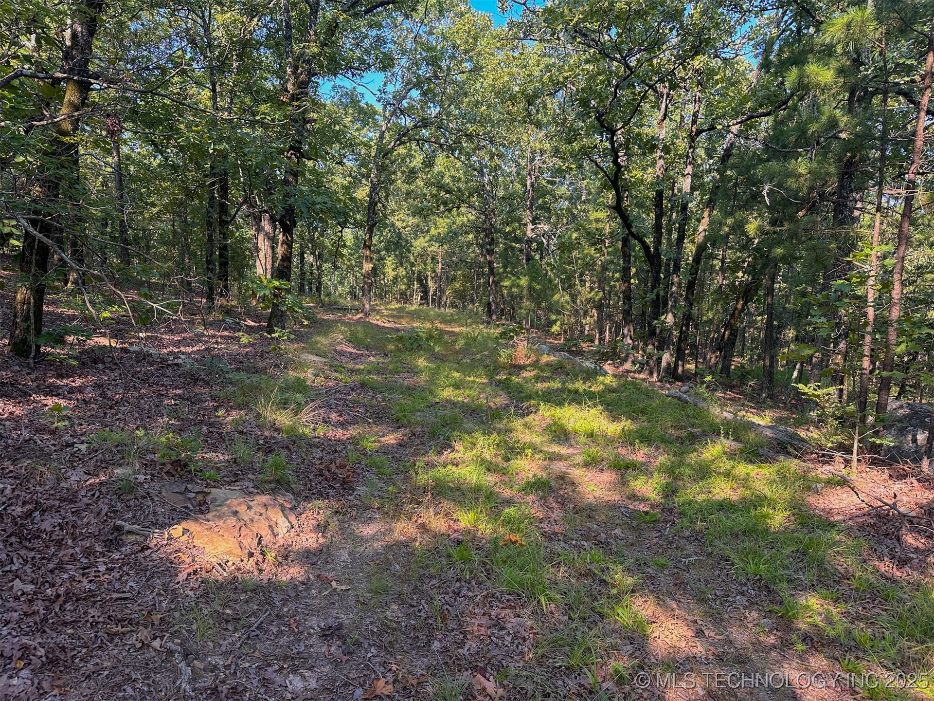 9 Moonshine Drive Property Photo 9